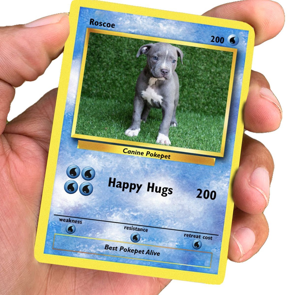 Pokepet Photo Card