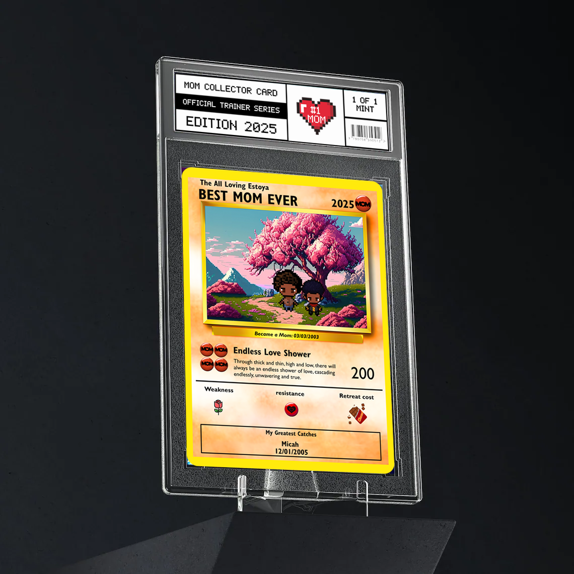 Mother's Day - Build Your Own