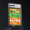 Pokepet