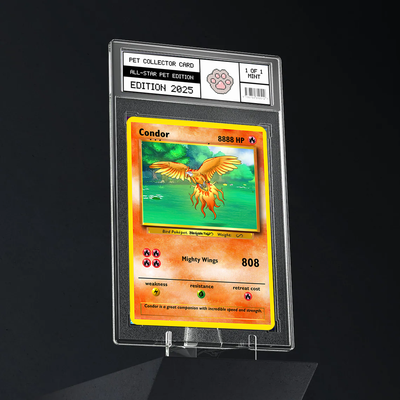 Pokepet